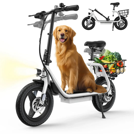 Varun P2 500W 48V Foldable Electric Scooter