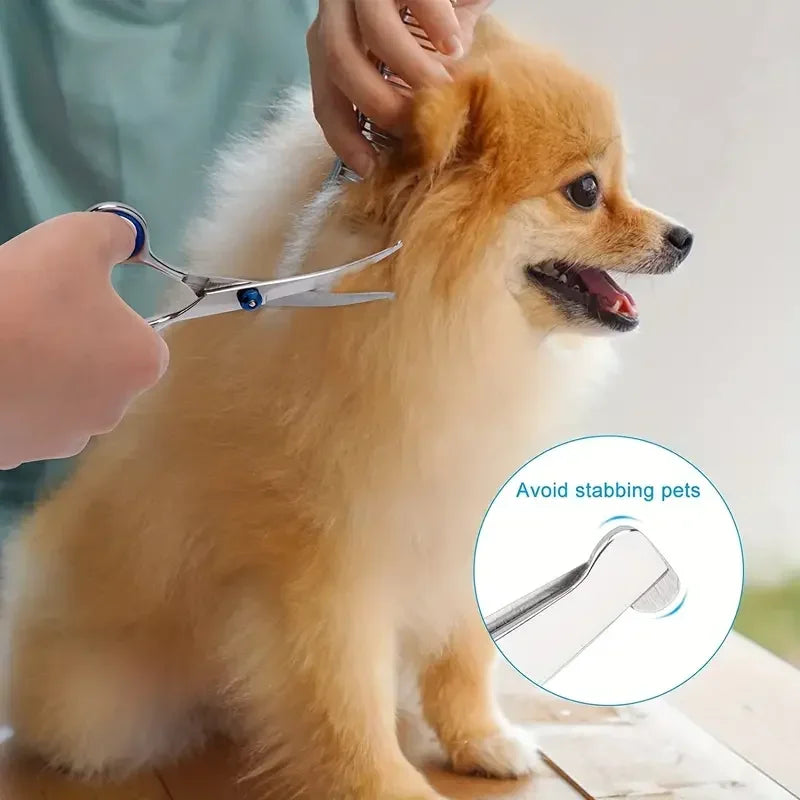 Ambidextrous Stainless Steel Dog Grooming Scissors