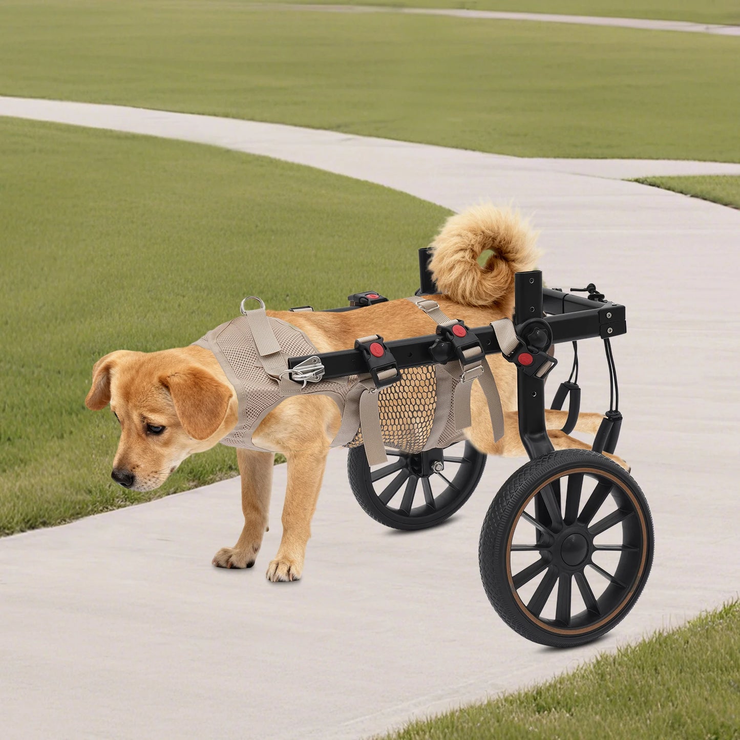 Dog Wheelchair For Back Legs Walking Aid 65kg Load