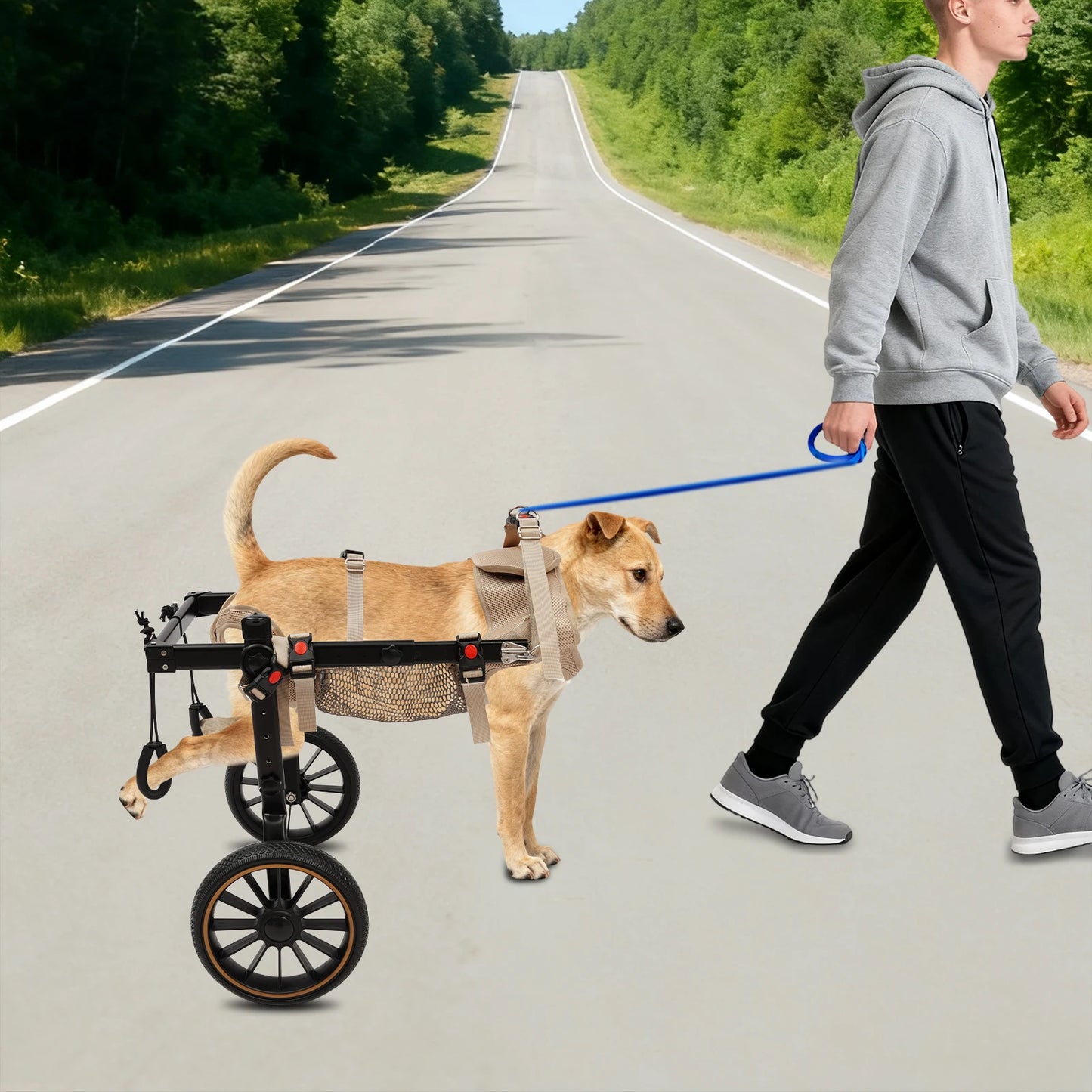 Dog Wheelchair For Back Legs Walking Aid 65kg Load