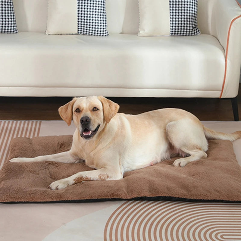 Premium Pet Heated Plush Dog Bed Mat Cats And Dogs