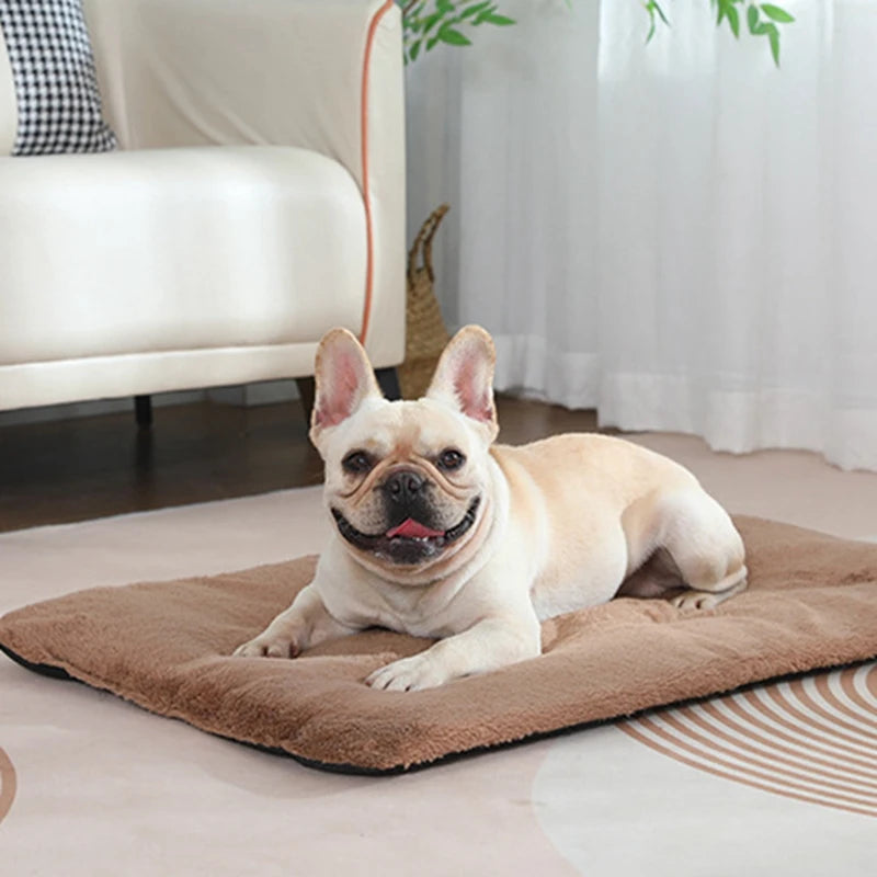 Premium Pet Heated Plush Dog Bed Mat Cats And Dogs