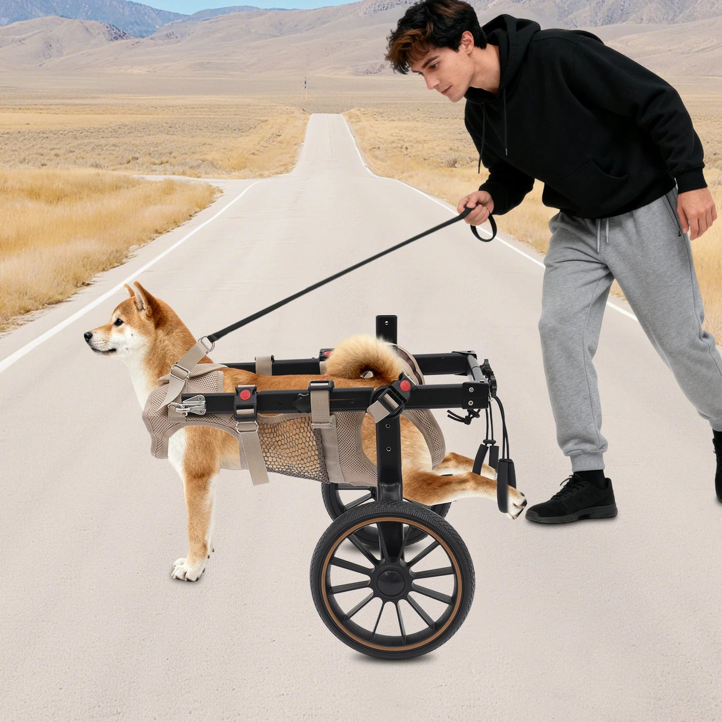 Bymaocar Adjustable Pet Trolley Dog Wheelchair Hind Leg Support