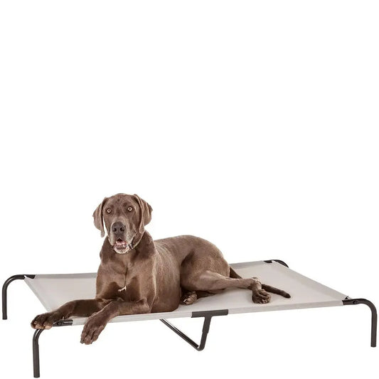 Elevated Cooling Pet Bed For Dogs Breathable Design