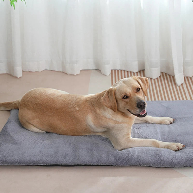 Premium Pet Heated Plush Dog Bed Mat Cats And Dogs
