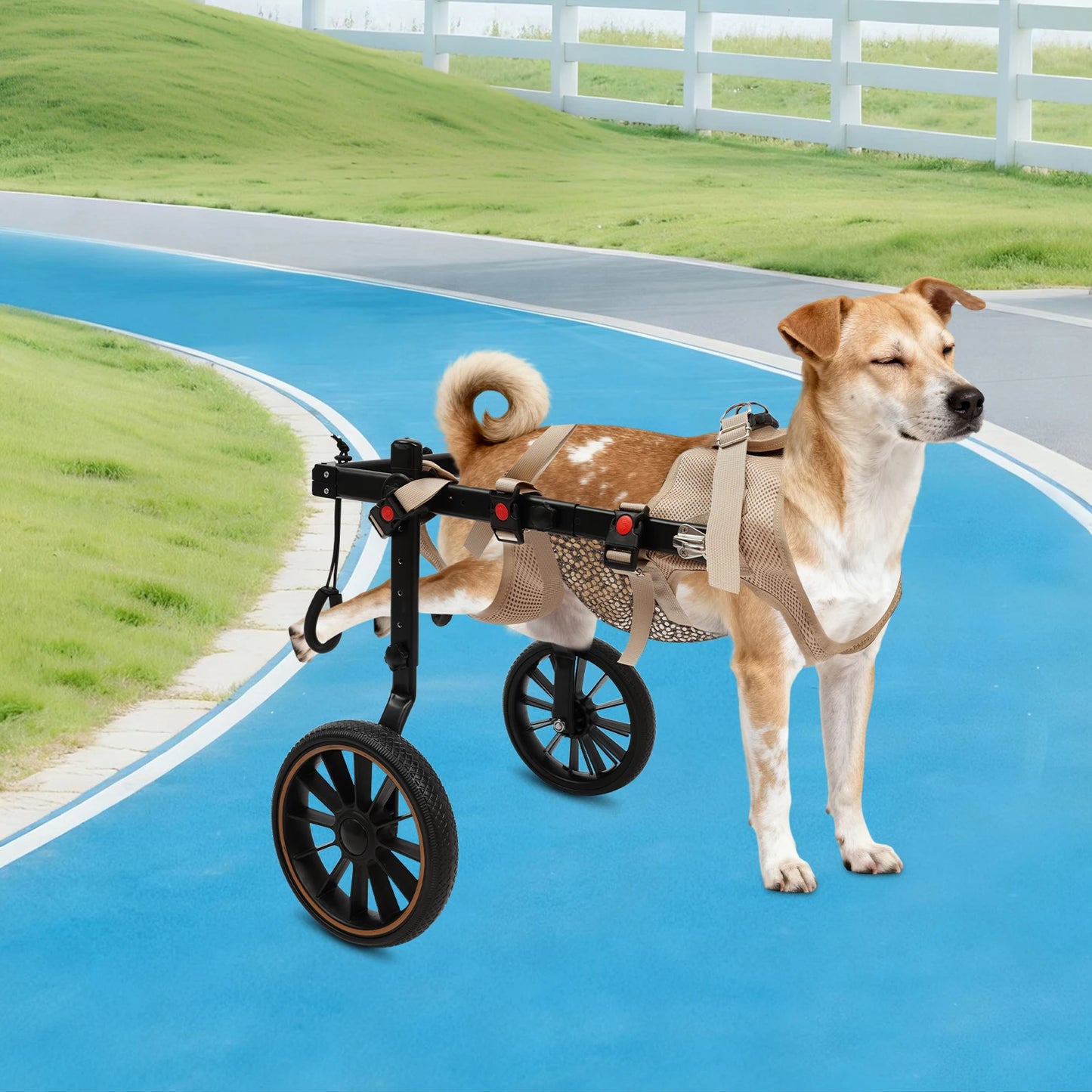Dog Wheelchair For Back Legs Walking Aid 65kg Load