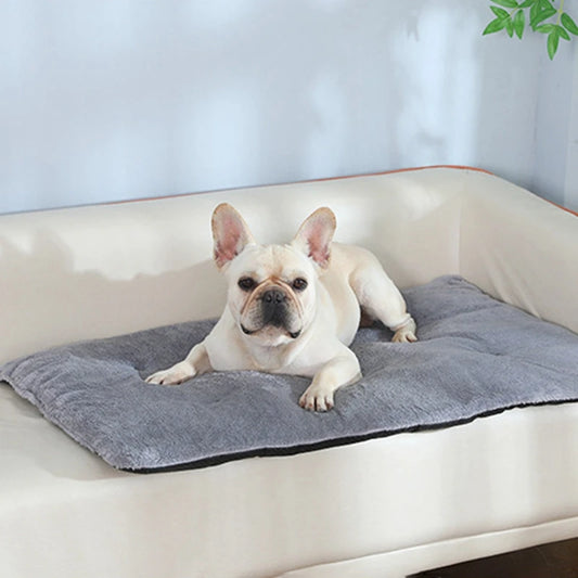 Premium Pet Heated Plush Dog Bed Mat Cats And Dogs