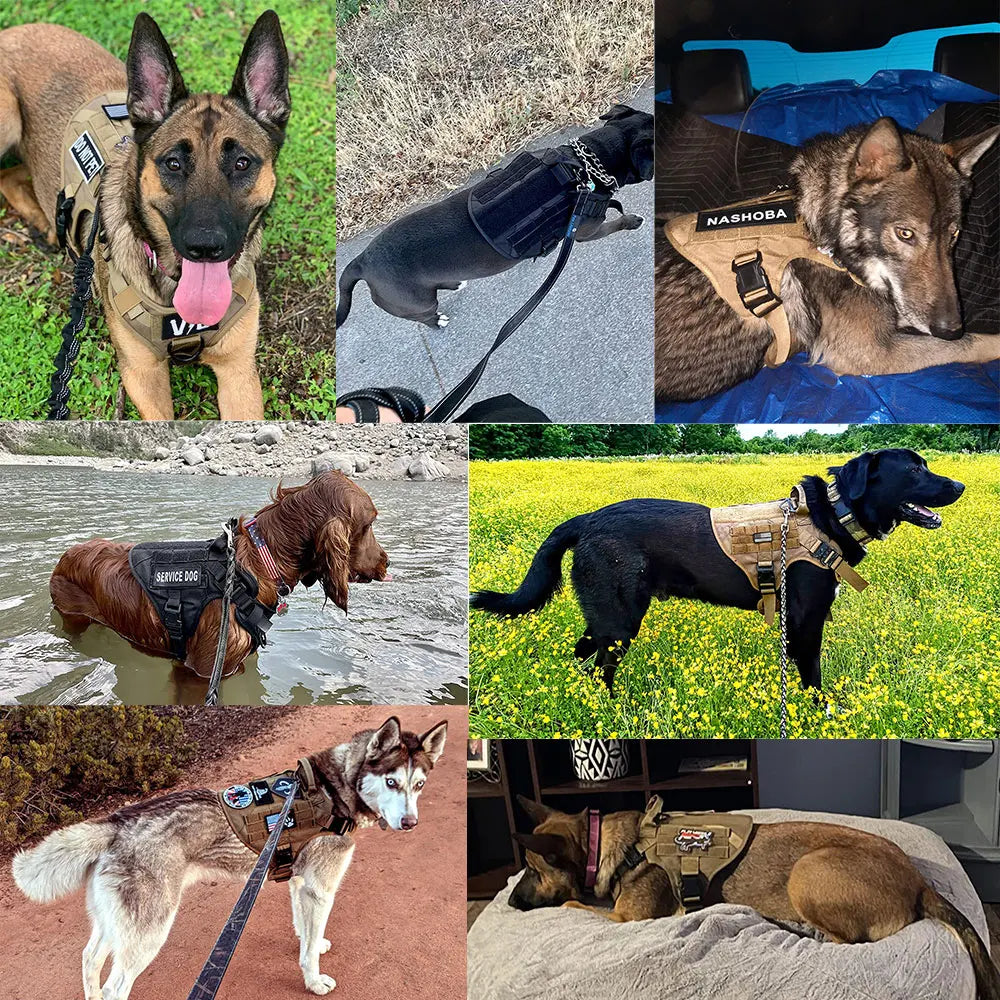 PETRAVELCN Military Dog Harness Vest With Leash Patch Set