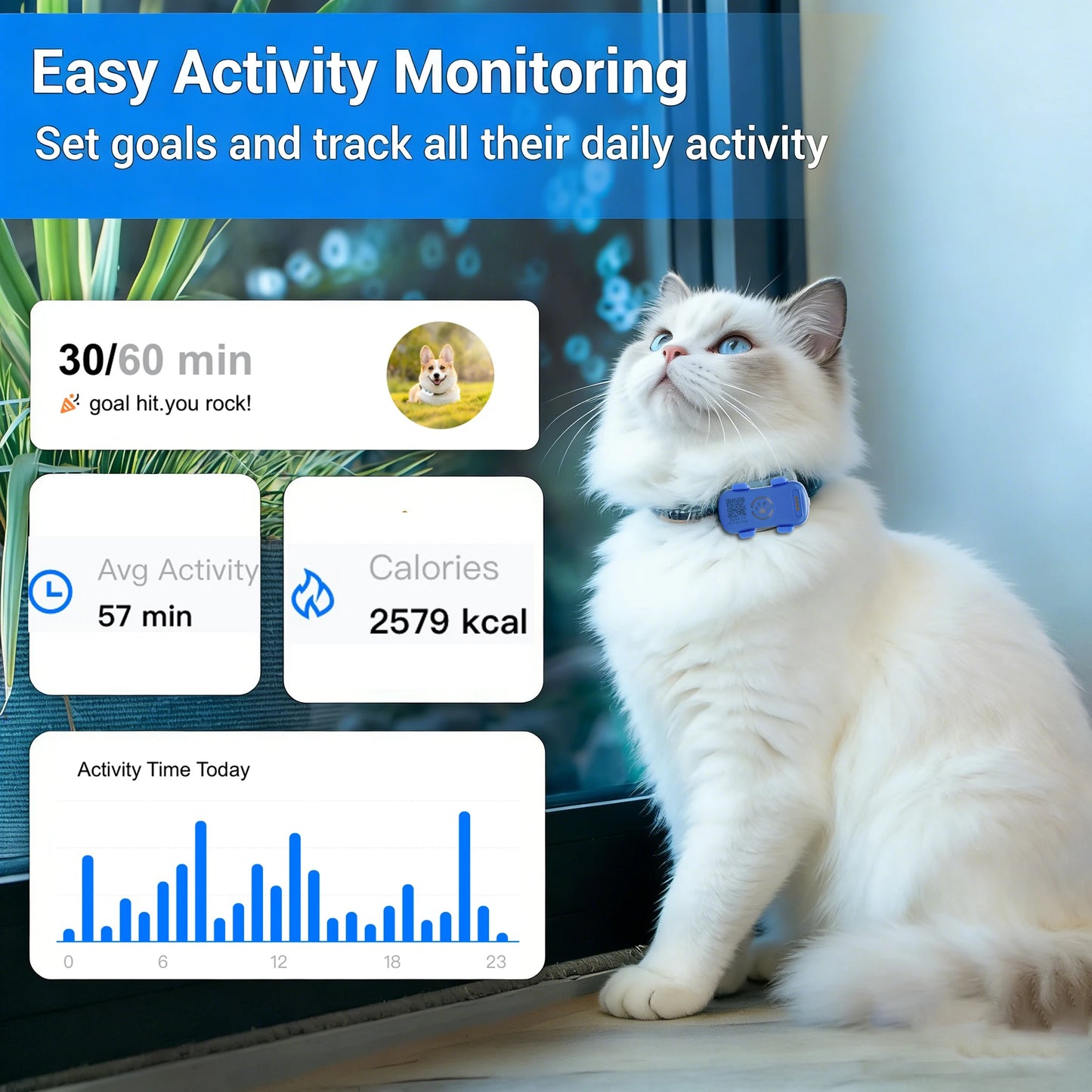 WANWAYTECH GPS Pet Tracker For Dogs And Cats Real Time Tracking 1 Year Service